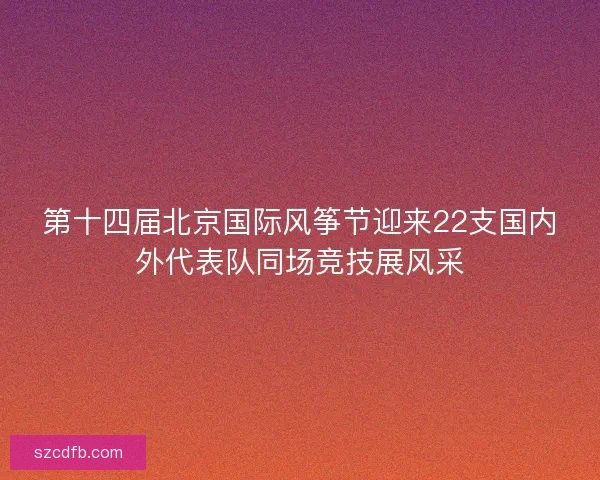 第十四届北京国际风筝节迎来22支国内外代表队同场竞技展风采