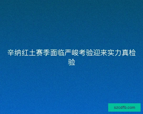 辛纳红土赛季面临严峻考验迎来实力真检验